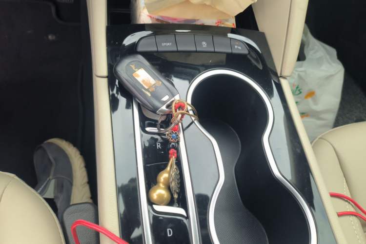 Used Buick Regal 2020 552T Elite Edition Gear Lever