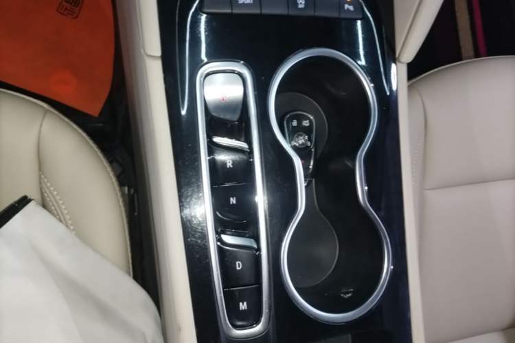 Used Buick Regal 2020 552T Elite Edition Gear Lever
