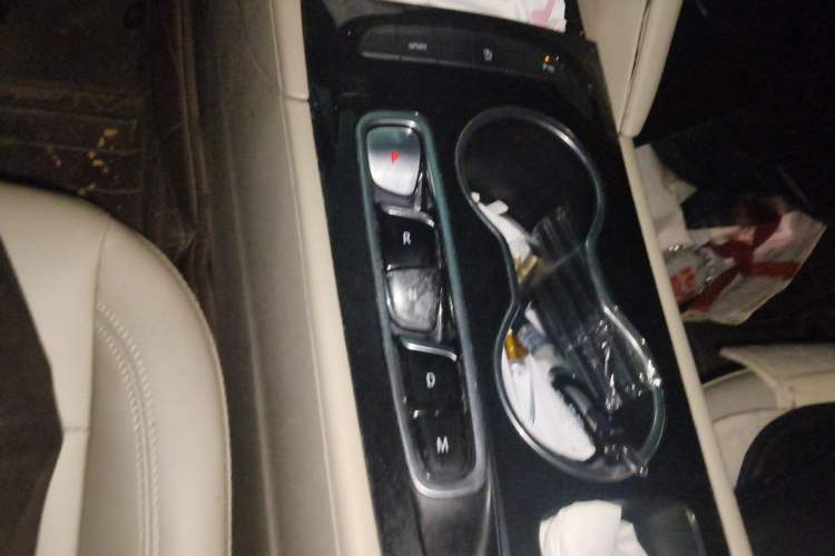 Used Buick Regal 2020 552T Elite Edition Gear Lever