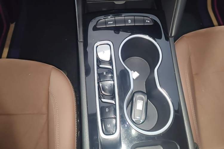 Used Buick Regal 2020 552T Luxury Version Gear Lever
