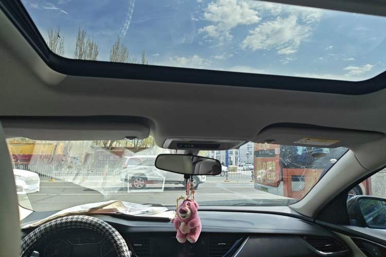 Used Buick Regal 2020 552T Elite Edition Headliner