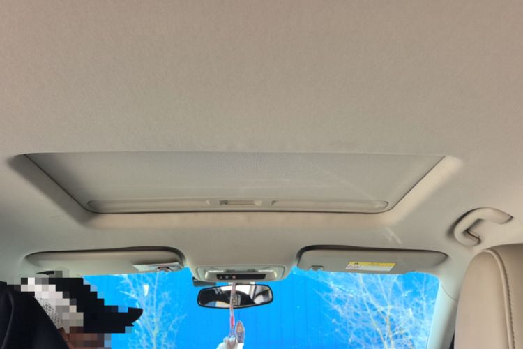 Used Buick Regal 2020 552T Elite Edition Headliner