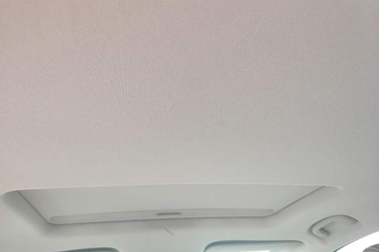 Used Buick Regal 2020 552T Elite Edition Headliner