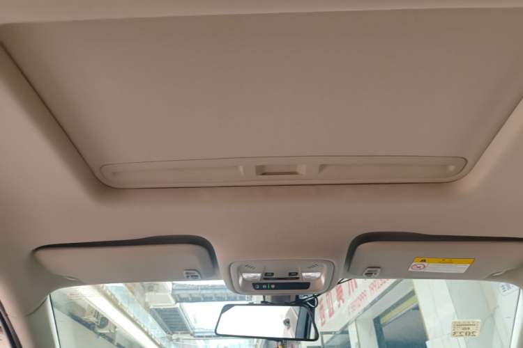 Used Buick Regal 2020 552T Elite Edition Headliner