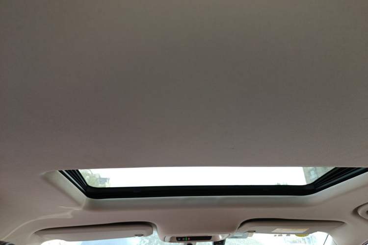 Used Buick Regal 2020 552T Luxury Version Headliner