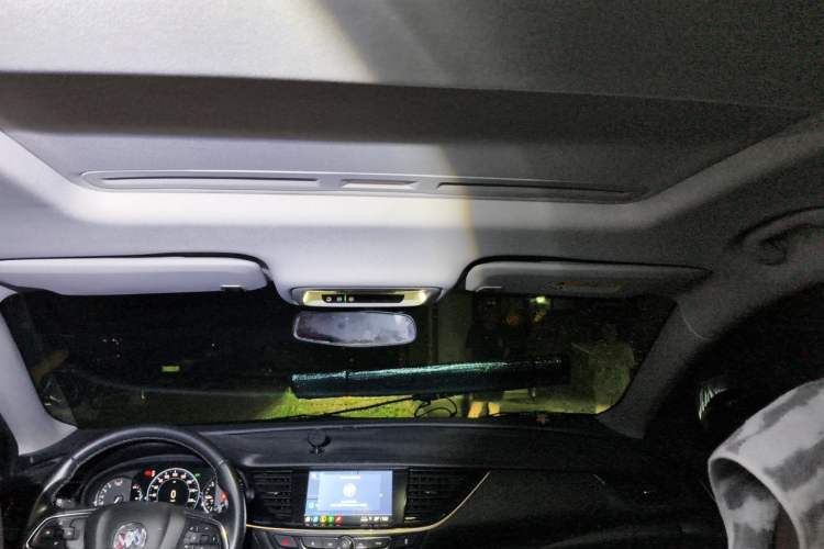 Used Buick Regal 2020 552T Luxury Version Headliner