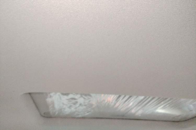 Used Buick Regal 2020 552T Elite Edition Headliner