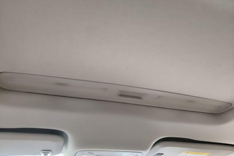 Used Buick Regal 2020 552T Luxury Version Headliner