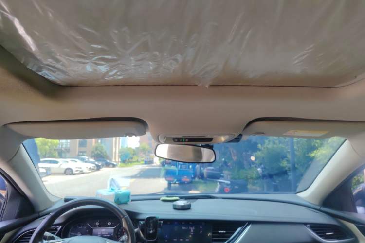 Used Buick Regal 2020 552T Elite Edition Headliner