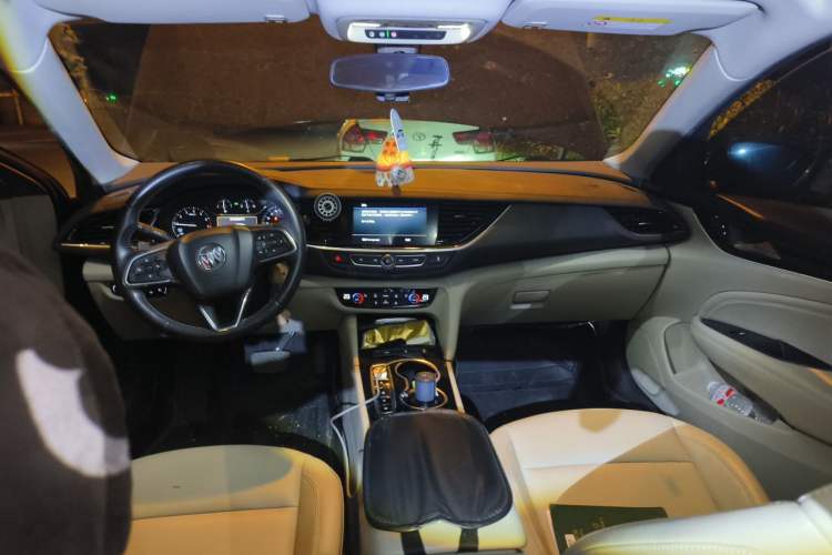 Used Buick Regal 2020 552T Elite Edition Headliner