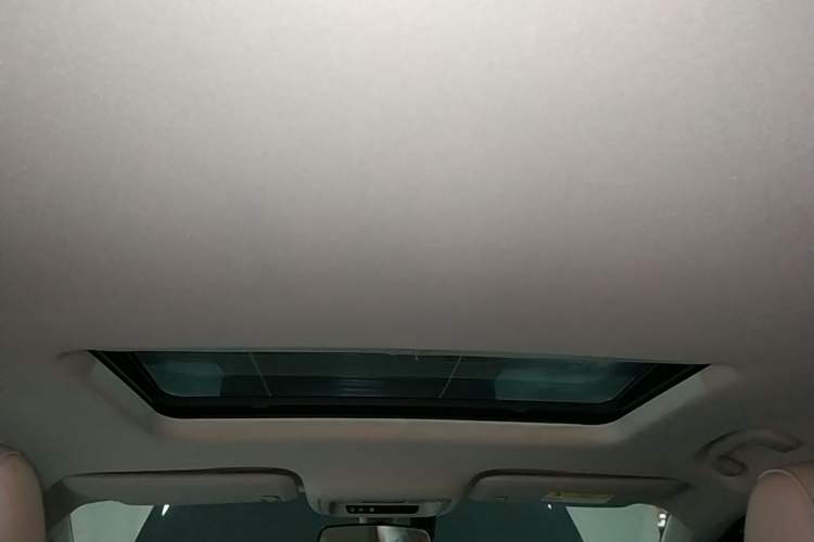 Used Buick Regal 2020 552T Elite Edition Headliner