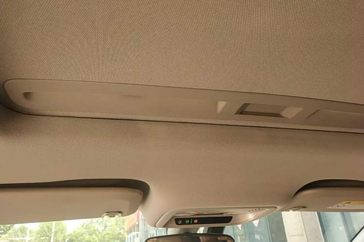Used Buick Regal 2020 552T Luxury Version Headliner
