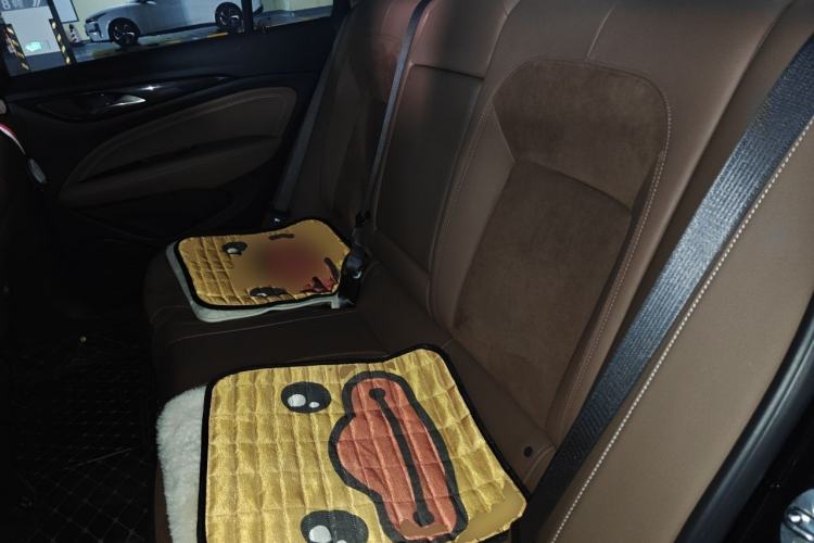 Used Buick Regal 2020 552T Elite Edition Left Rear Seat