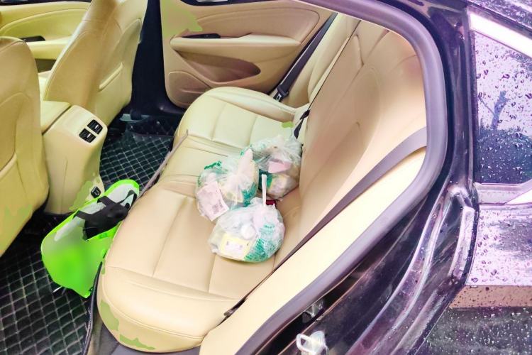 Used Buick Regal 2020 552T Elite Edition Left Rear Seat