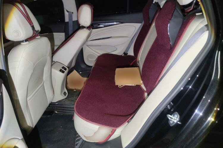 Used Buick Regal 2020 552T Elite Edition Left Rear Seat