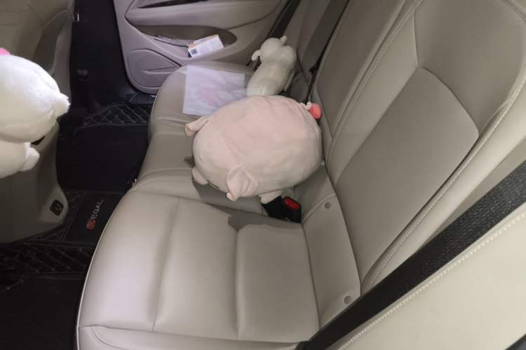 Used Buick Regal 2020 552T Elite Edition Left Rear Seat