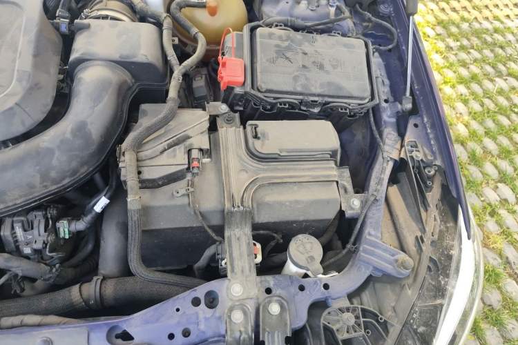 Used Buick Regal 2020 GS 28T Elite Model Engine Bay Left