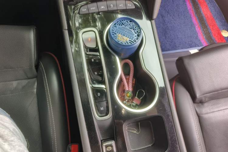 Used Buick Regal 2020 GS 28T Prestige Model Gear Lever