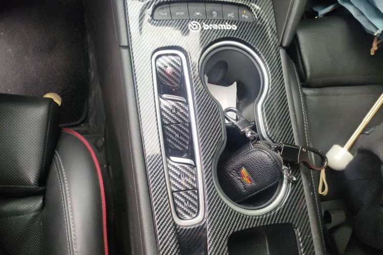 Used Buick Regal 2020 GS 28T Prestige Model Gear Lever