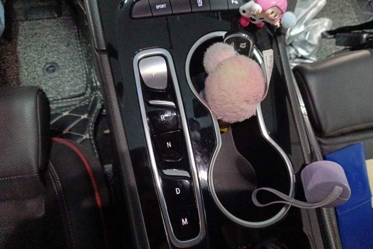 Used Buick Regal 2020 GS 28T Elite Model Gear Lever