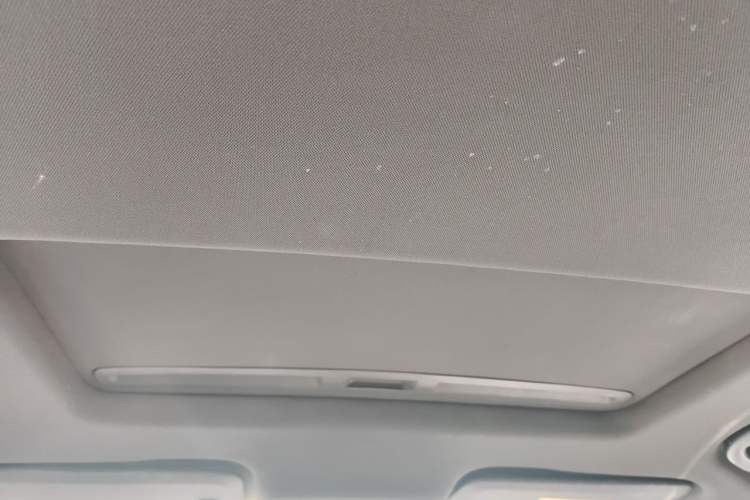 Used Buick Regal 2020 GS 28T Elite Model Headliner