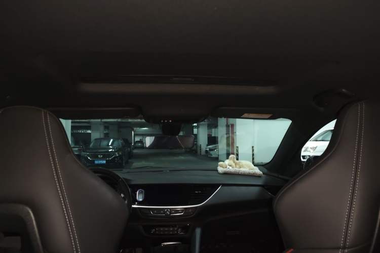 Used Buick Regal 2020 GS 28T Prestige Model Headliner