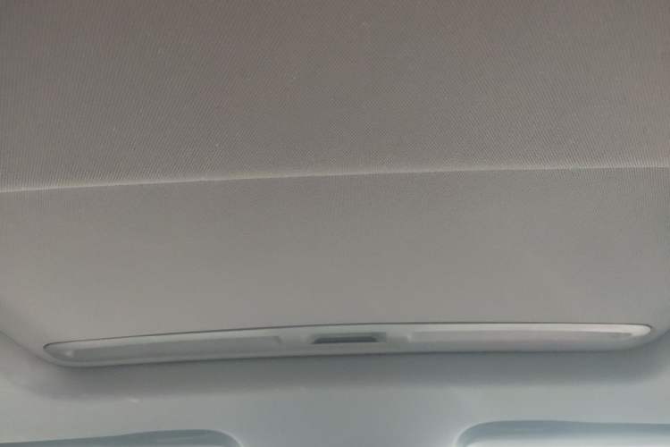 Used Buick Regal 2020 GS 28T Elite Model Headliner