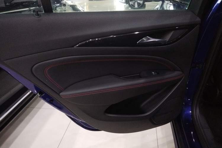 Used Buick Regal 2020 GS 28T Elite Model Left Rear Door Interior
