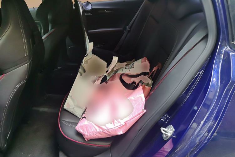 Used Buick Regal 2020 GS 28T Elite Model Left Rear Seat