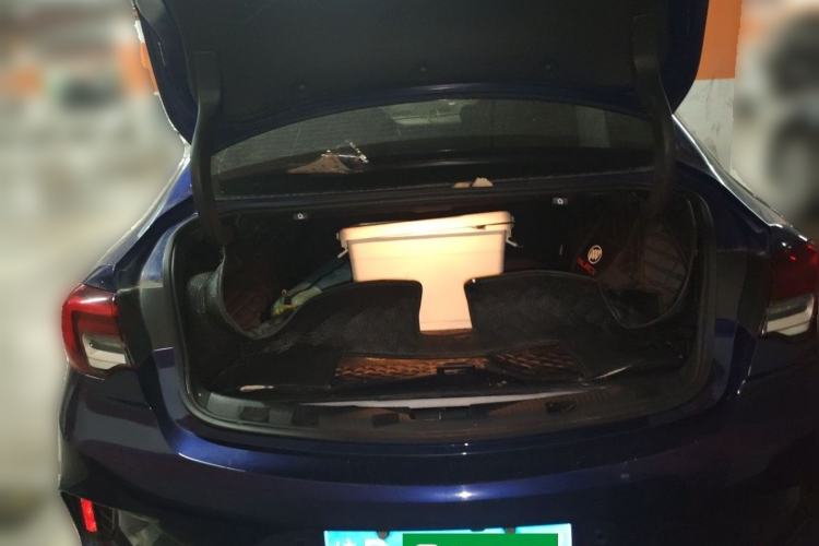 Used Buick Regal 2020 GS 28T Elite Model Trunk