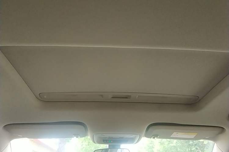 Used Buick Regal 2020 552T Luxury Version Headliner