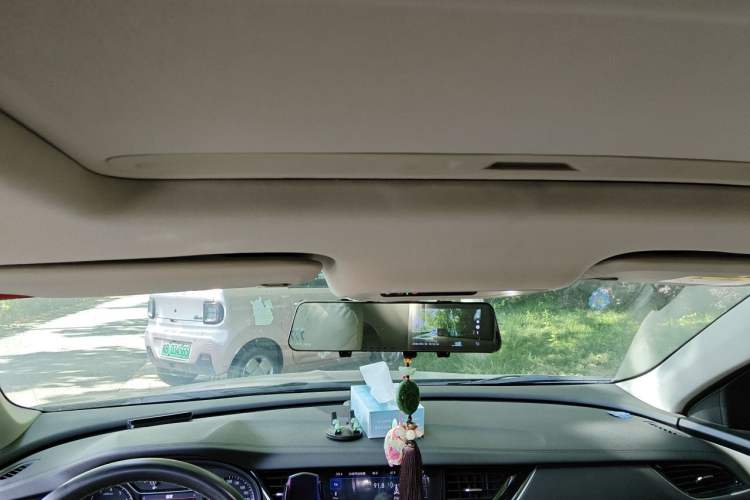 Used Buick Regal 2020 552T Elite Edition Headliner