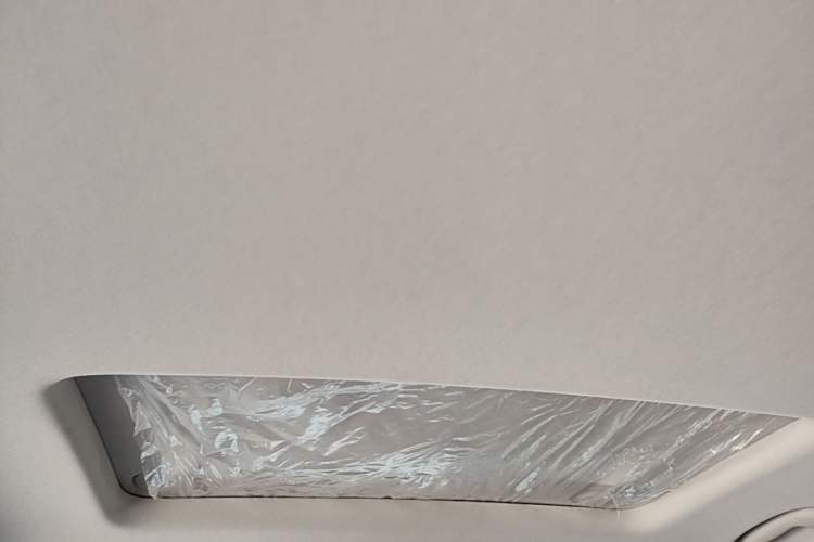 Used Buick Regal 2020 552T Luxury Version Headliner