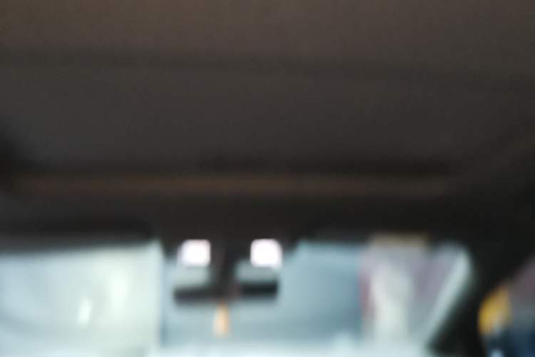 Used Buick Regal 2020 GS 28T Elite Model Headliner