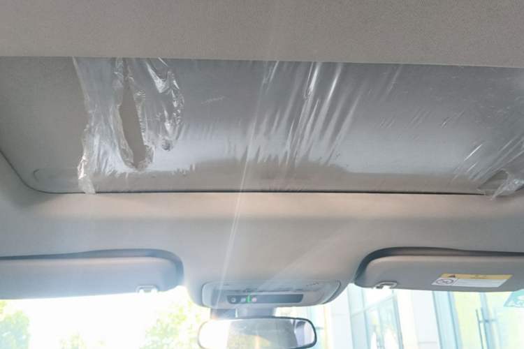 Used Buick Regal 2020 552T Elite Edition Headliner