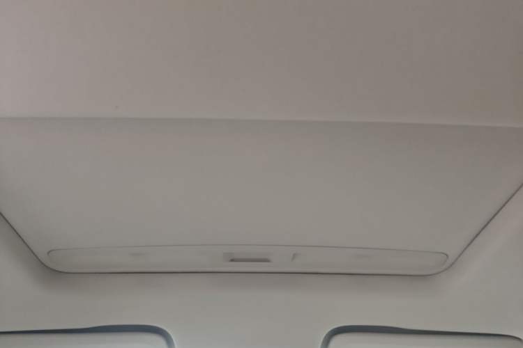 Used Buick Regal 2020 552T Elite Edition Headliner