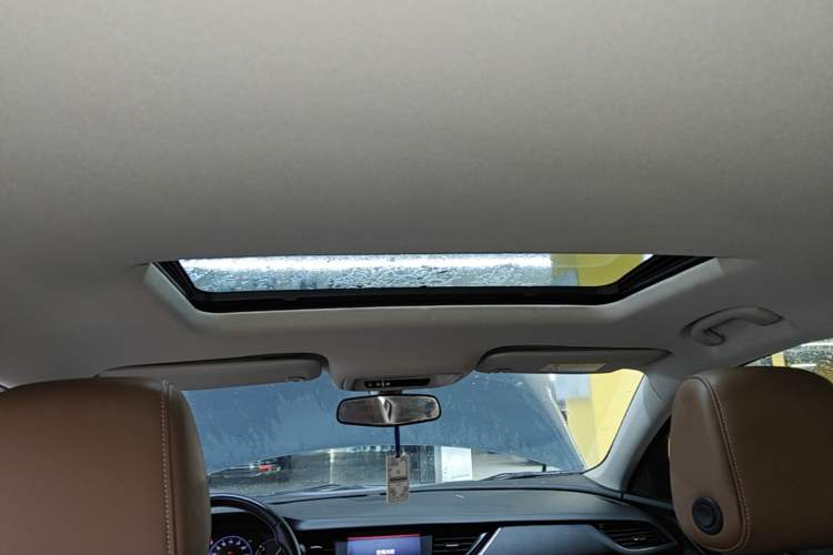 Used Buick Regal 2020 552T Luxury Version Headliner