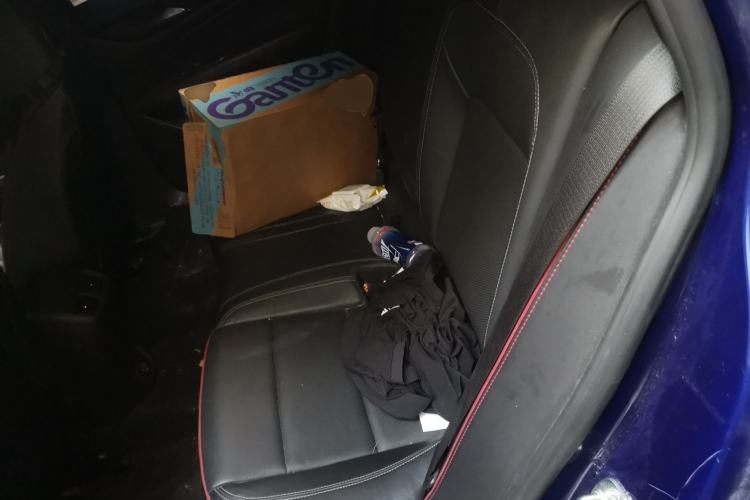 Used Buick Regal 2020 GS 28T Elite Model Left Rear Seat
