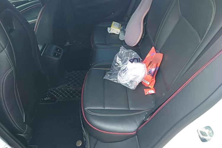 Used Buick Regal 2020 GS 28T Elite Model Left Rear Seat
