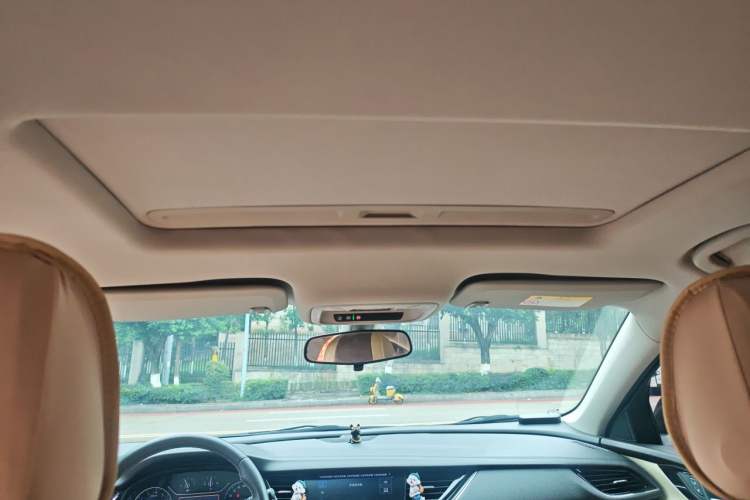 Used Buick Regal 2020 552T Elite Edition Headliner