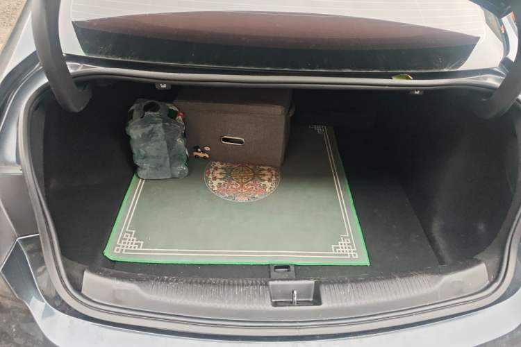 Used Buick Regal 2020 552T Elite Edition Trunk