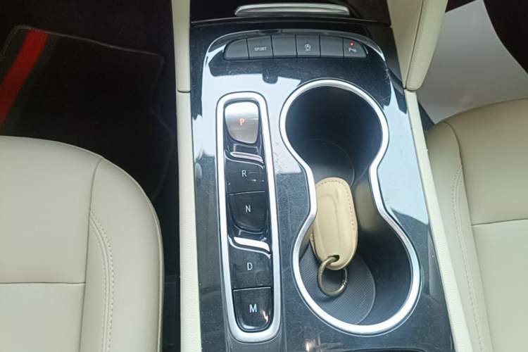 Used Buick Regal 2020 552T Elite Edition Gear Lever