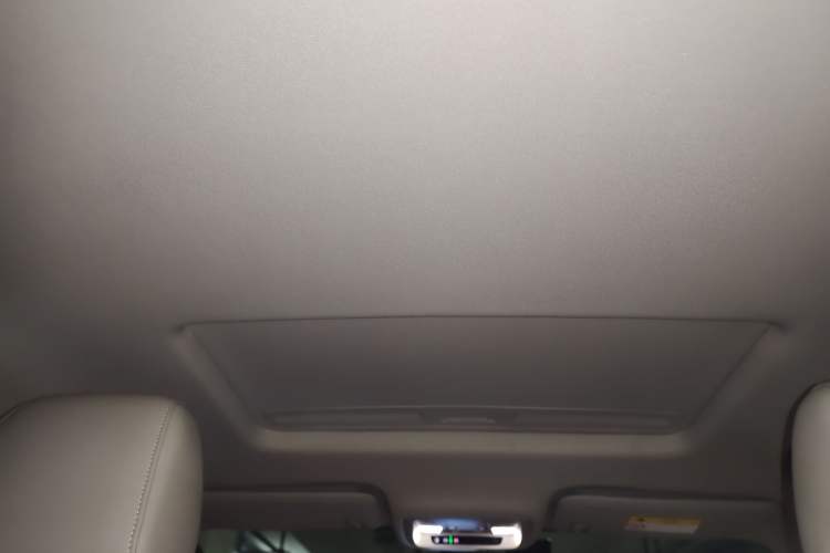 Used Buick Regal 2020 552T Elite Edition Headliner