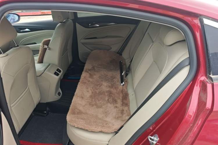 Used Buick Regal 2020 552T Elite Edition Left Rear Seat