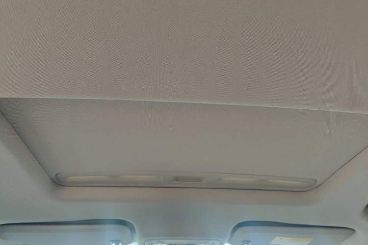Used Buick Regal 2020 552T Elite Edition Headliner