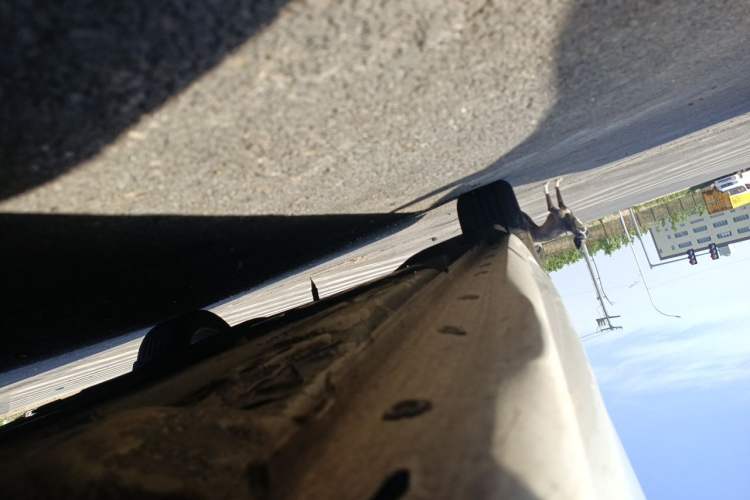 Used Buick Regal 2020 552T Elite Edition Chassis Front Right