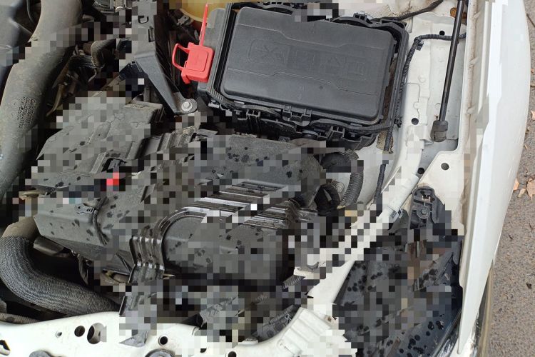 Used Buick Regal 2020 552T Elite Edition Engine Bay Left