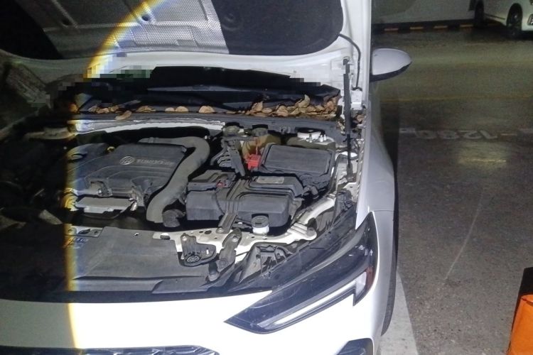 Used Buick Regal 2020 552T Elite Edition Engine Bay Left