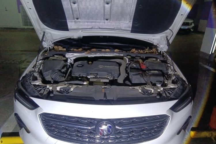Used Buick Regal 2020 552T Elite Edition Engine Bay