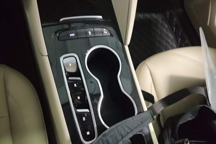 Used Buick Regal 2020 552T Elite Edition Gear Lever